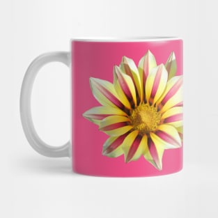 yellow red pink flower, blooming flowers, blossom, Mug